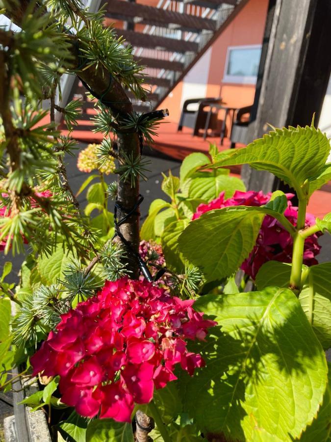 弗洛特米花园公寓酒店 海宁格松 外观 照片